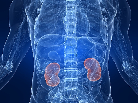 It's estimated that more than 3 million Australians have at least one marker of kidney damage or dysfunction.